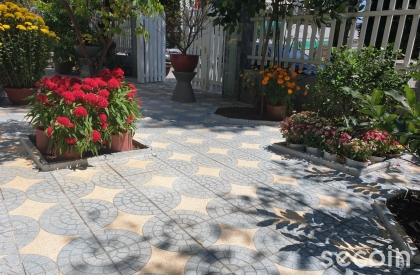 Gạch Terrazzo đa màu